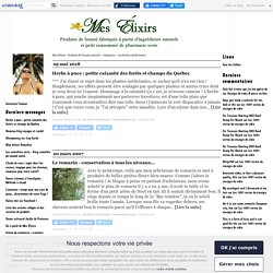 page : Les herbes médicinales
