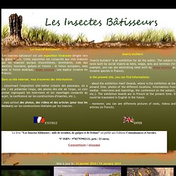 Les insectes bâtisseurs