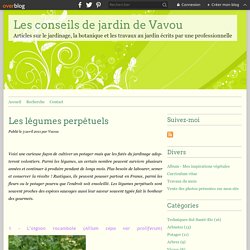 Perpetual vegetables - garden tips Vavou