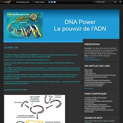 Les OGM / GM - Les pouvoirs de l'ADN / DNA power
