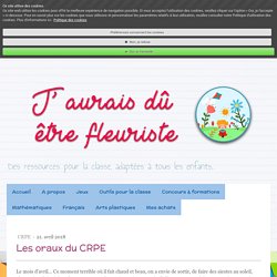 Les oraux du CRPE - Site de jauraisduetrefleuriste !