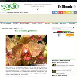 Les orchidées, généralités