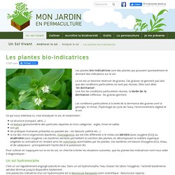 Les plantes bio-indicatrices