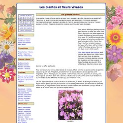 Les plantes et fleurs vivaces