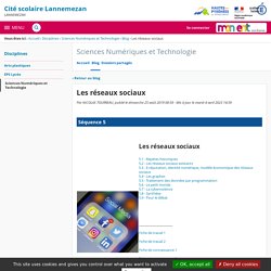Les réseaux sociaux - Sciences Numériques et Technologie - Cité scolaire Lannemezan