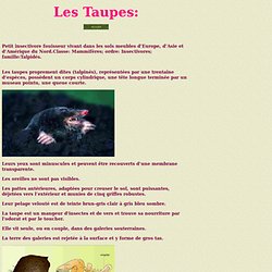 Les taupes