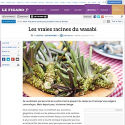 Les vraies racines du wasabi