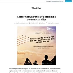 Lesser Known Perks Of Becoming a Commercial Pilot – The Pilot
