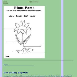 NTTI Lesson: SEE HOW THEY GROW: PLANTS AND THEIR PARTS worksheet