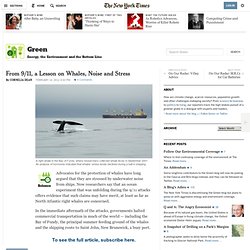 From 9/11, a Lesson on Whales, Noise and Stress