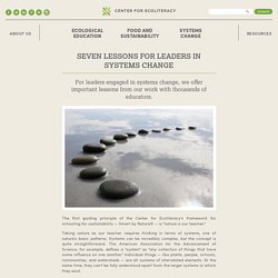 Seven Lessons for Leaders in Systems Change