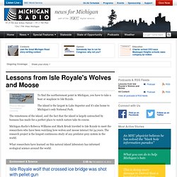 Lessons from Isle Royale's Wolves and Moose