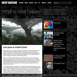 Lets grow an Avatar Forest