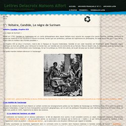 Lettres Delacroix Maisons Alfort » Blog Archive » 1°: Voltaire, Candide, Le nègre de Surinam