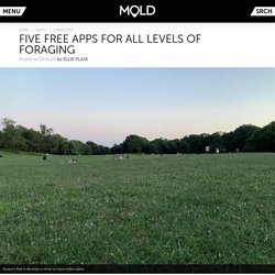 Five Free Apps for All Levels of Foraging : MOLD