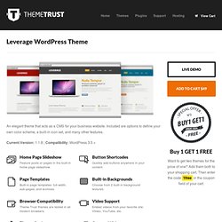 Business WordPress Theme Leverage