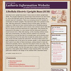 Libellula Electric Upright Bass (EUB)