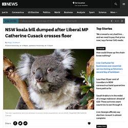NSW koala bill dumped after Liberal MP Catherine Cusack crosses floor - ABC News