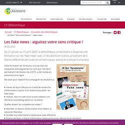 UE libre "Documentation" : Fake news