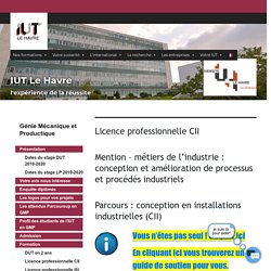 Licence professionnelle CII – IUT Le Havre