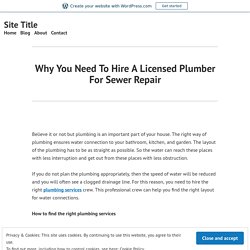 Why You Need To Hire A Licensed Plumber For Sewer Repair – Site Title
