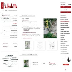 le Lierre - Numéro 107 - Le Petit Catalogue - La Hulotte