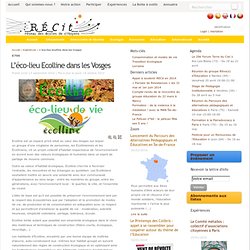 L’éco-lieu Ecolline dans les Vosges - RECit