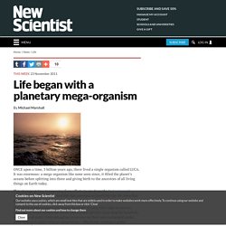 Life began with a planetary mega-organism - life - 25 November 2011