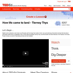 How life came to land - Tierney Thys