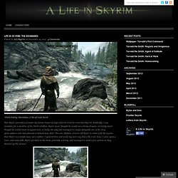 Life in Skyrim: The Beginning « A Life in Skyrim