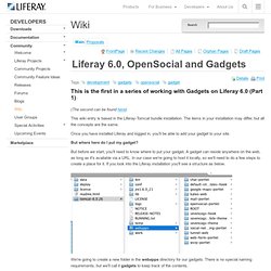 6.0, OpenSocial and Gadgets