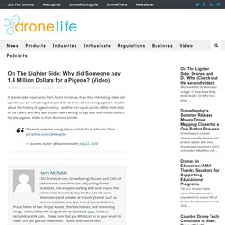 On The Lighter Side: Why did Someone pay 1.4 Million Dollars for a Pigeon? (Video) - DRONELIFE