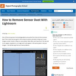 How to Remove Sensor Dust With Lightroom