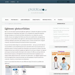 Lightroom : photos et fichiers