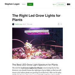 The Right Led Grow Lights for Plants