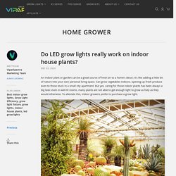 Do LED grow lights really work on indoor house plants? – ViparSpectra