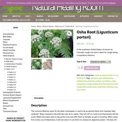 Herbal Remedy: Osha Root (Ligusticum porteri)