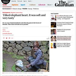 ‘I liked elephant heart. It was soft and very tasty’