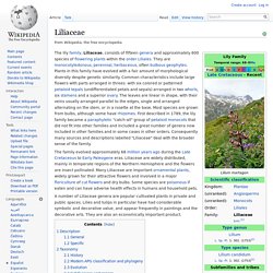 WIKIPEDIA - Liliaceae.