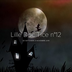 Lille Doc Tice n°12