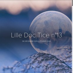 Lille Doc Tice n°13
