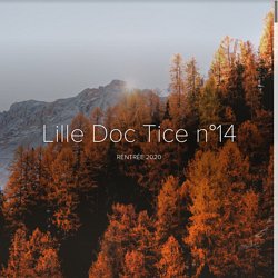 Lille Doc Tice n°14