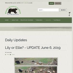 Lily or Ellie? - UPDATE June 6, 2019