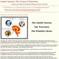 Limbic System: The Center of Emotions