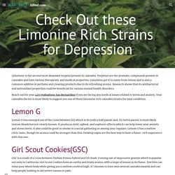 Check Out these Limonine Rich Strains for Depression