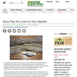 Grow Flax For Linen In Your Garden - Organic Gardening