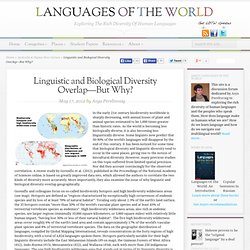 Linguistic and Biological Diversity Overlap—But Why?