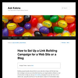 How to Set Up a Link Building Campaign for a Web Site or a Blog