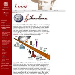 Linné on line – Fysikens kosmos