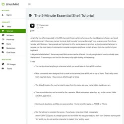 The 5-Minute Essential Shell Tutorial